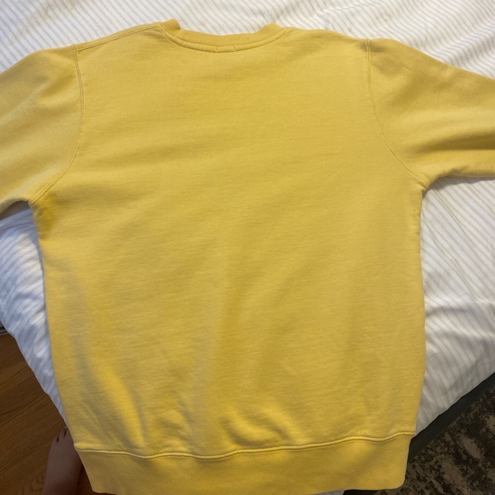 Brandy Melville honey sweatshirt